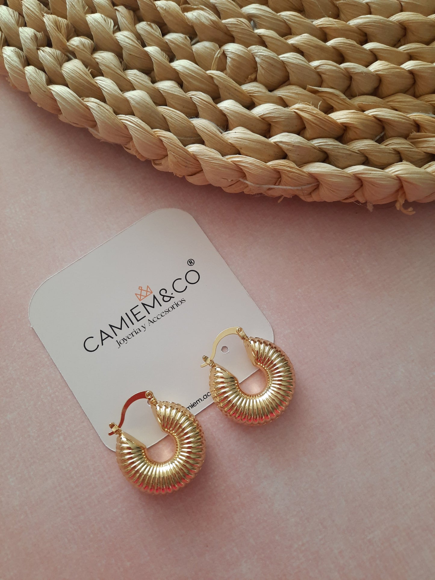 AROS MARCE