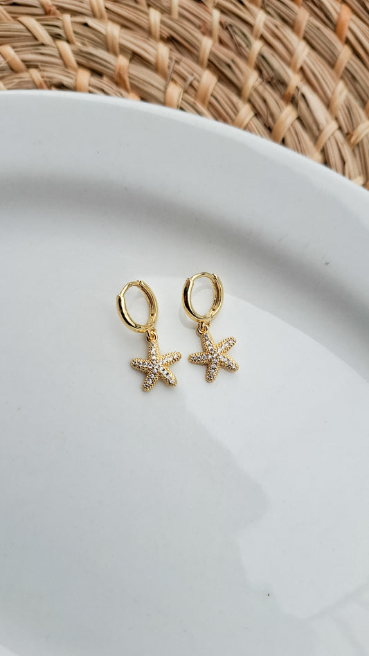 AROS ESTRELLA DE MAR
