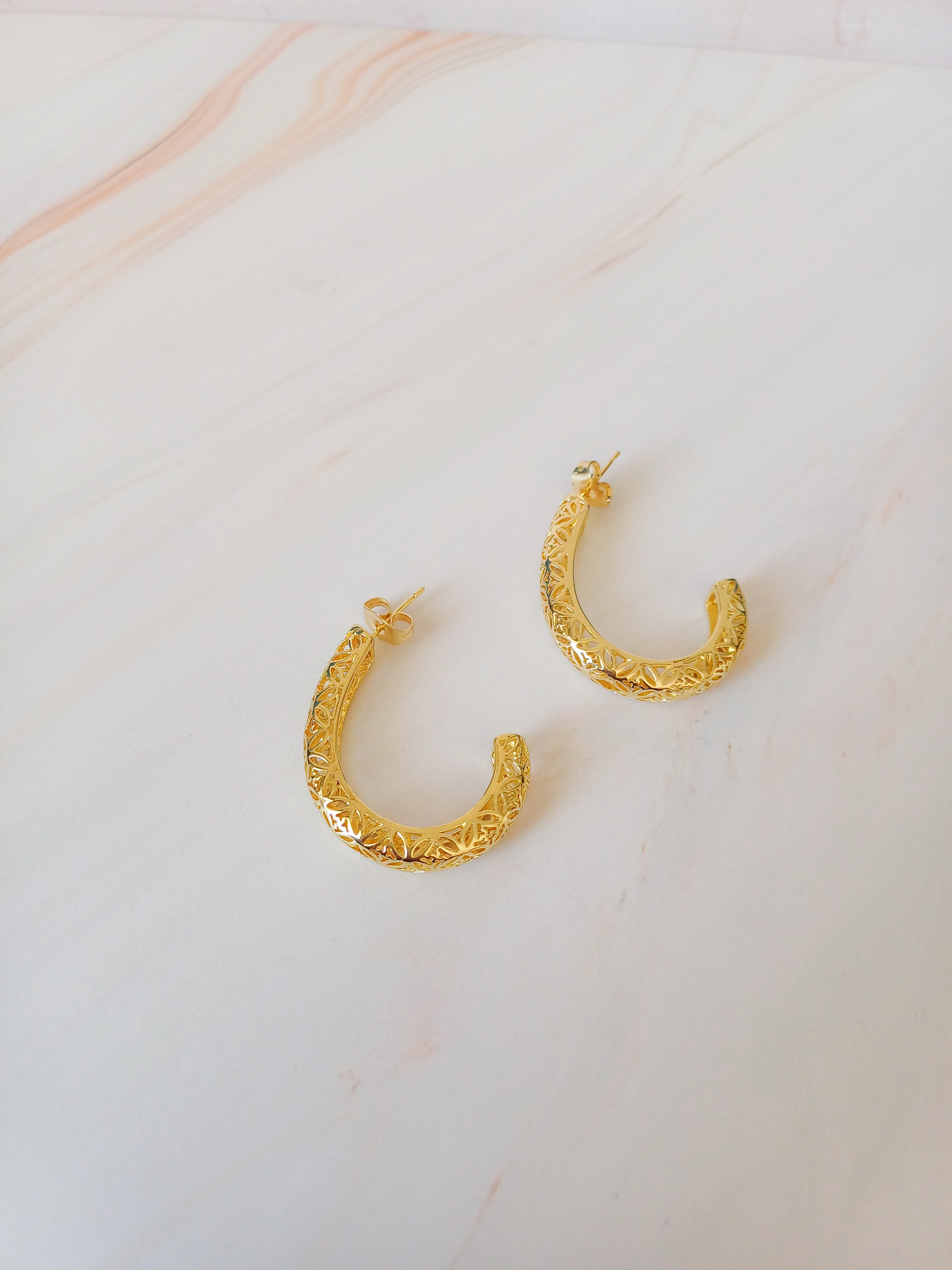 AROS MARIA ANTONIETA