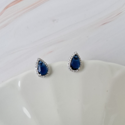 AROS PAULINA